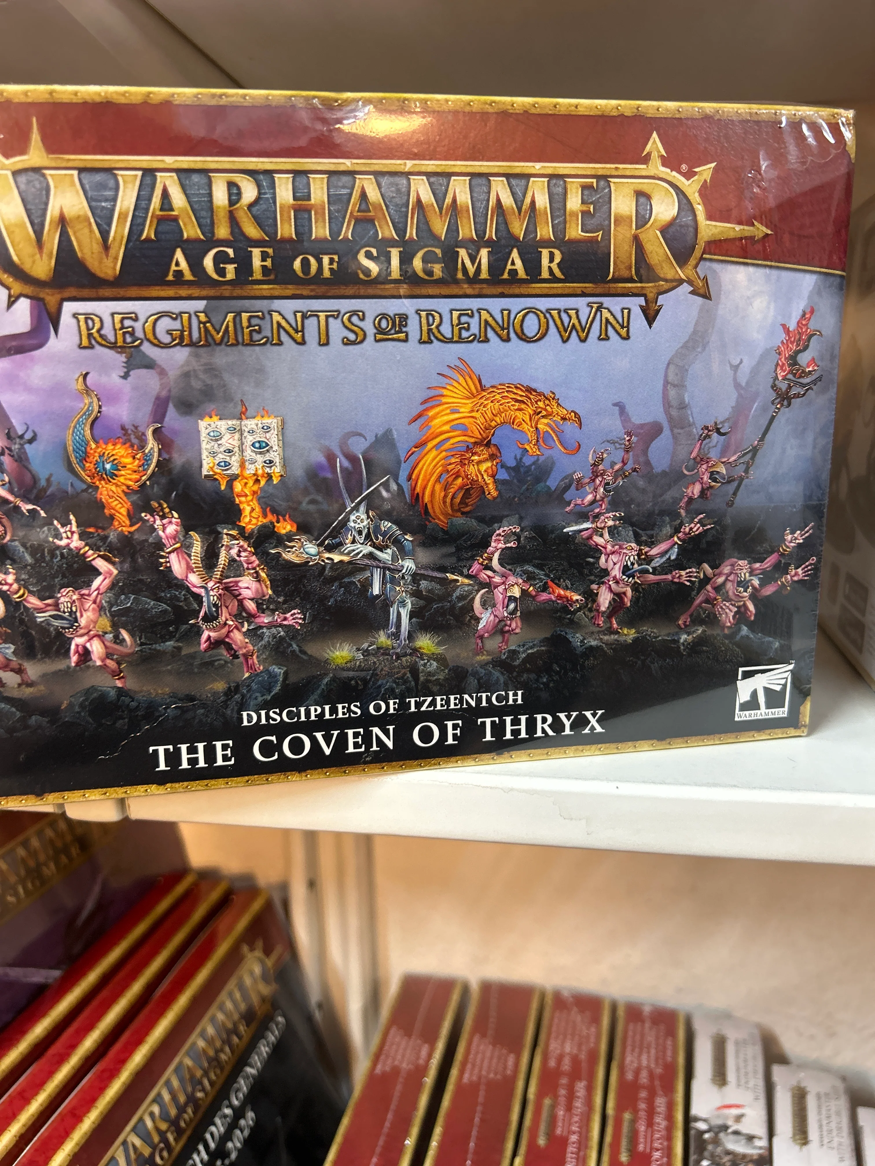 Disciples of Tzeentch: Zirkel Des Thryx - Image 2