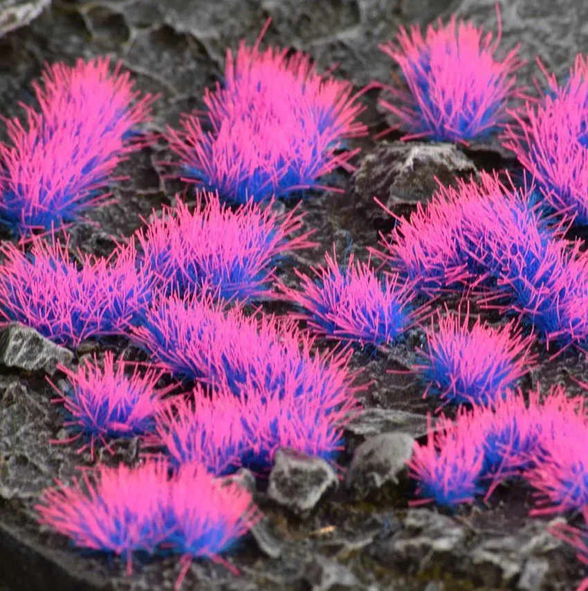 Alien Neon Tuft 4mm (Wild) - Image 6