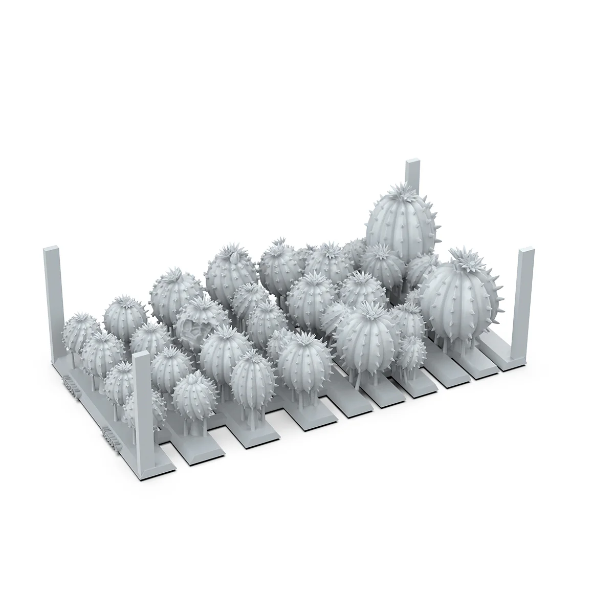 BARREL CACTUS – AK BASING BITS - Image 4