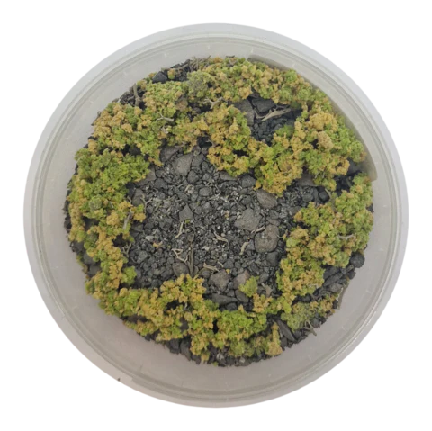 Basetopping: SIEGE GROUND (140ml) (battlefield series)
