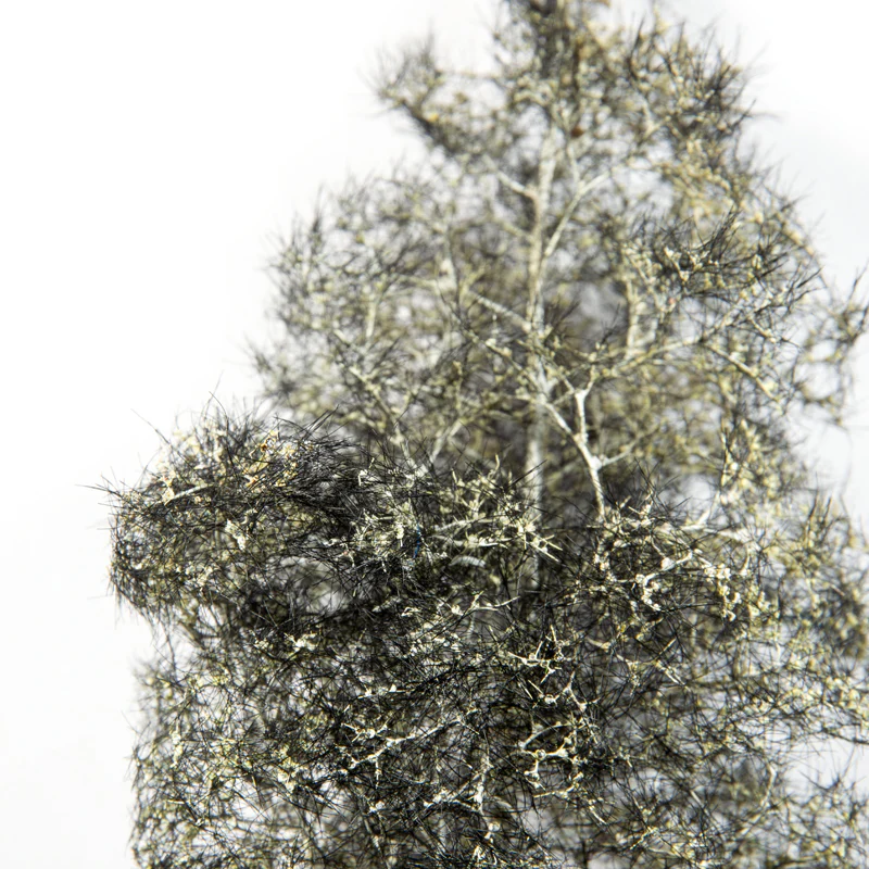 BLACK-WHITE – FANTASY BUSHES - Image 3