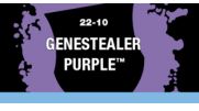 Genestealer Purple (Layer) - Image 2