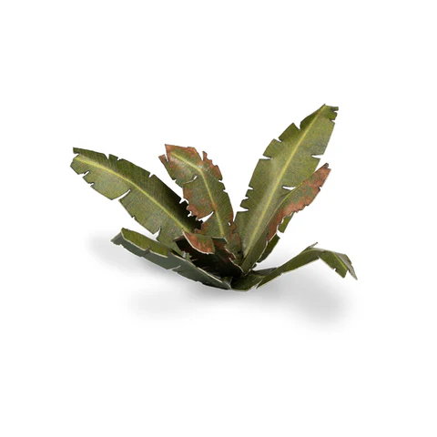 Laser Plants - Banana Tree - Image 4