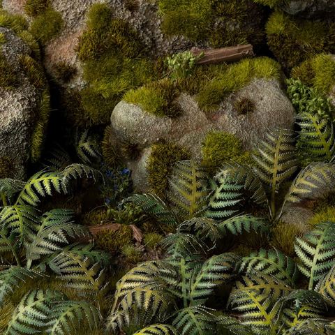 Laser Plants - Bracken - Image 2