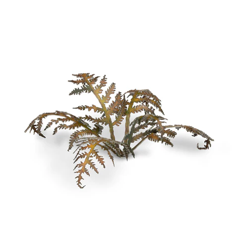 Laser Plants - Dry Bracken - Image 4