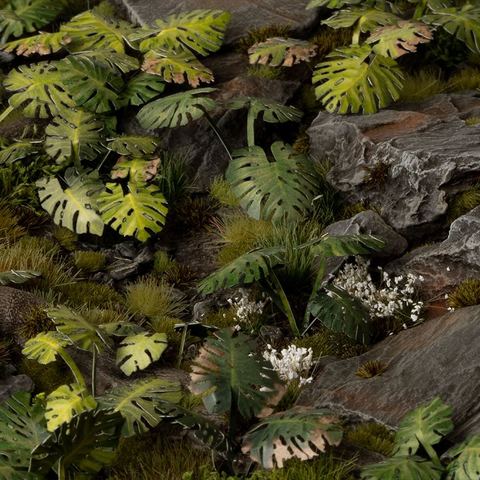 Laser Plants - Monstera - Image 2