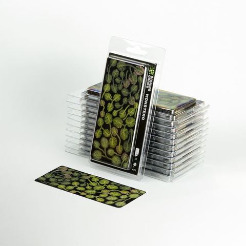 Laser Plants - Monstera - Image 3