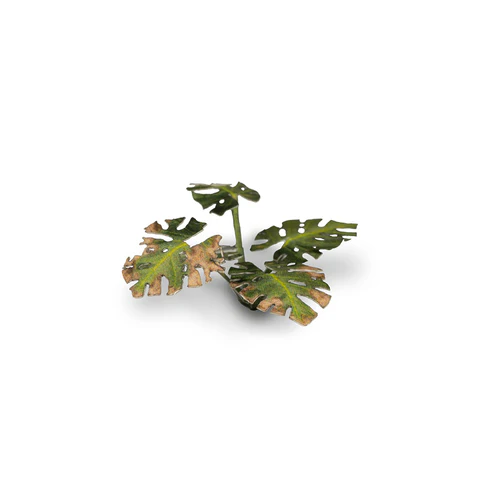 Laser Plants - Monstera - Image 6