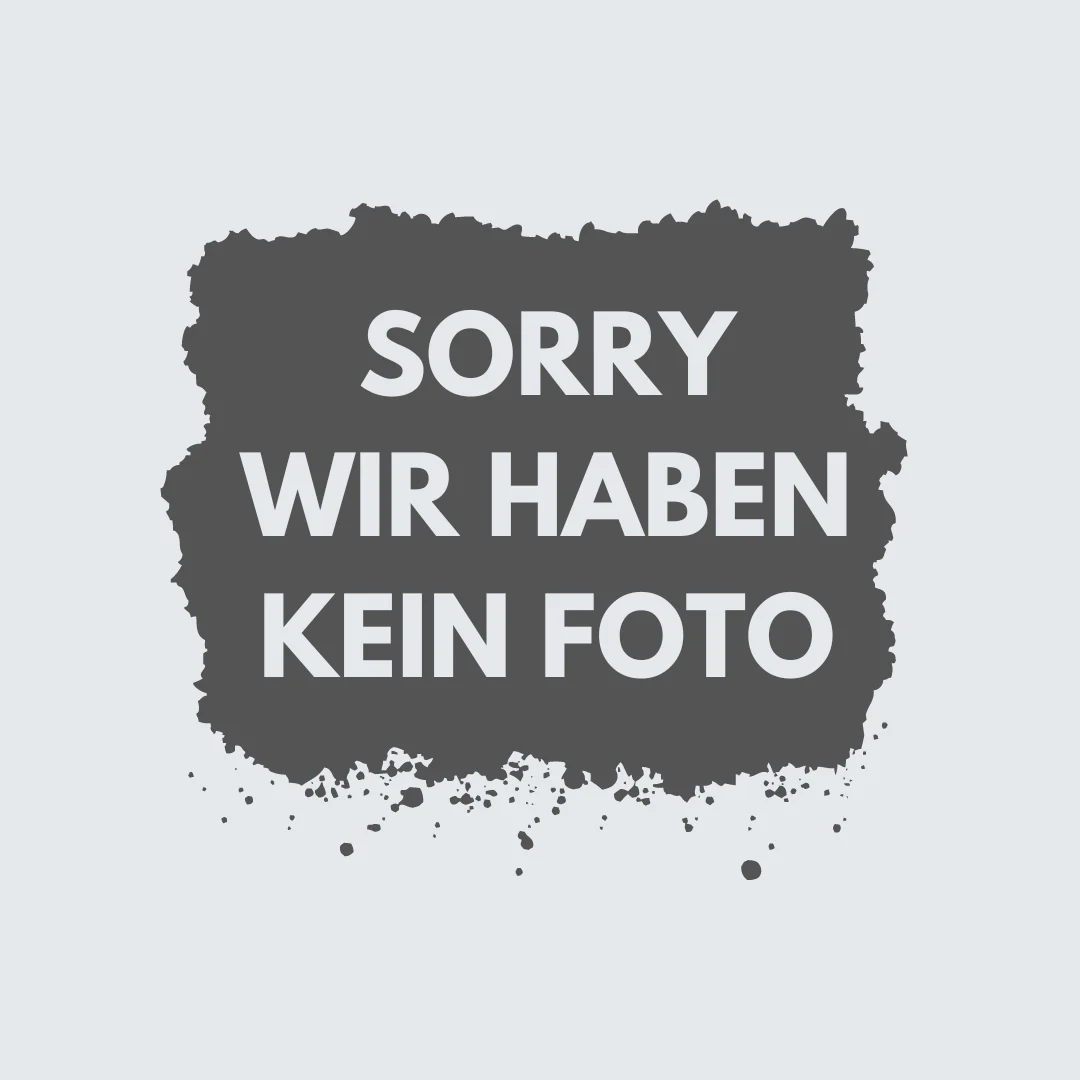LOTHLÓRIEN™ Wood Elf Warriors (MO)