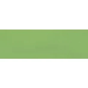 Model Color: 210 Leuchtgrün (Green Fluo), 17 ml (737)