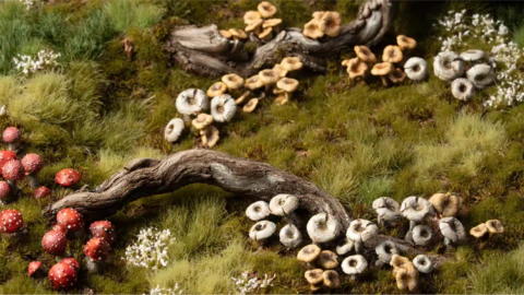 Basing Bits - Forest Mushrooms - Image 3