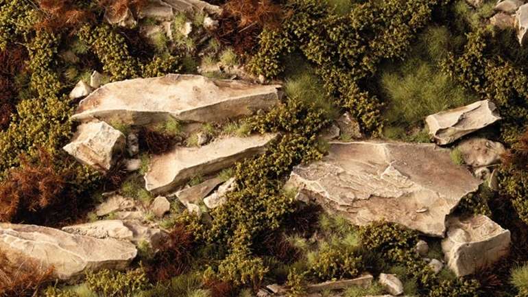 Dry Green Shrubs WILD - Image 3