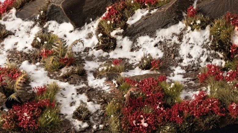 Laliguras Flowers - Image 3