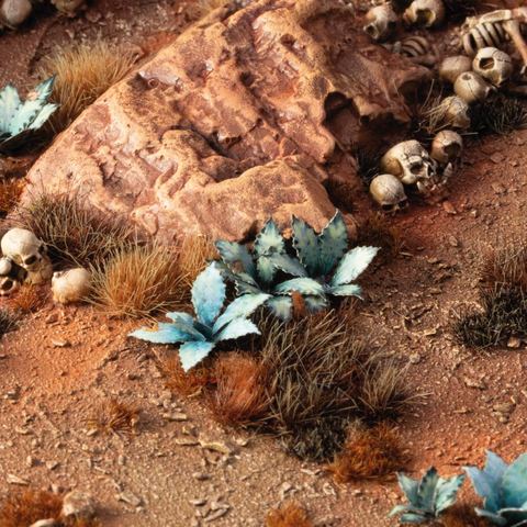 Preorder - Laser Plants - Blue Agave - Image 2
