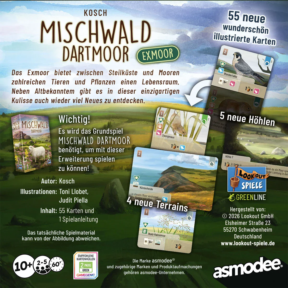 Mischwald: Dartmoor – Exmoor - Image 2