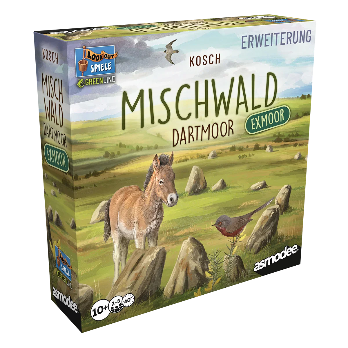 Mischwald: Dartmoor – Exmoor - Image 3