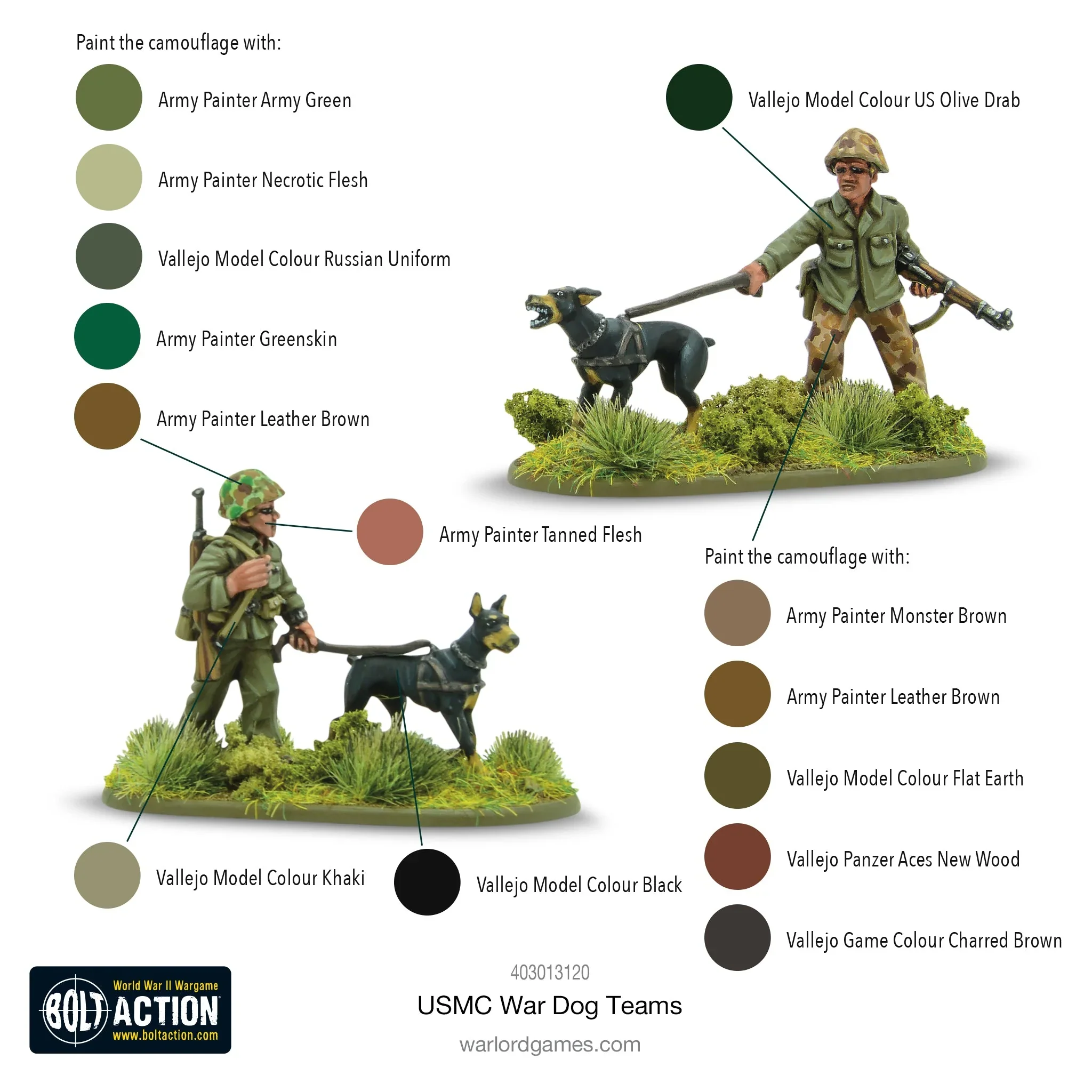 USMC War Dog Teams - Image 2