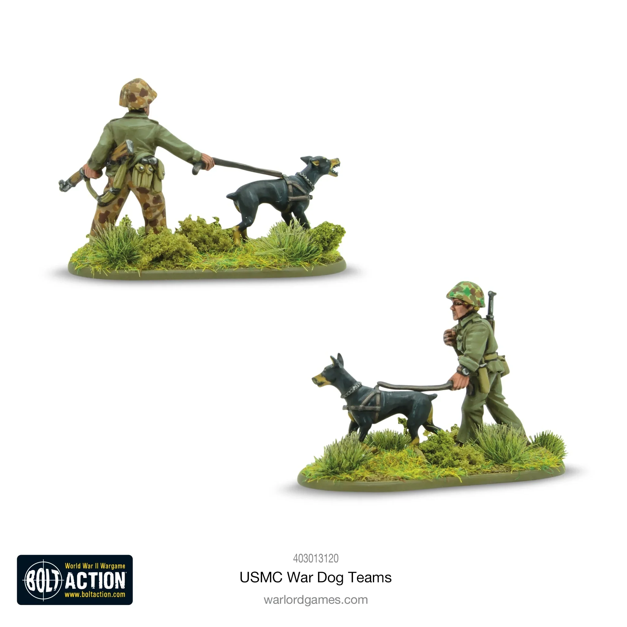 USMC War Dog Teams - Image 3
