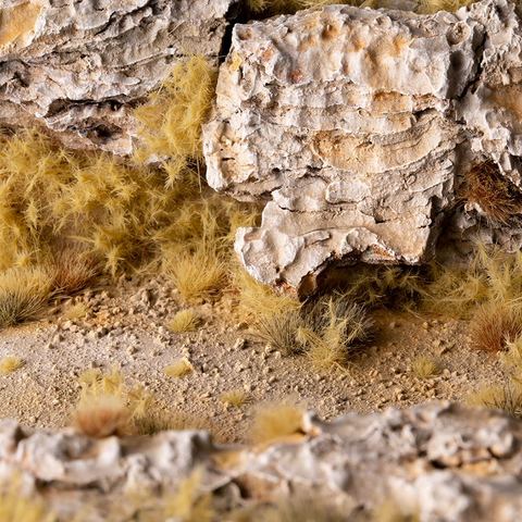 Spikey Beige Wild - Image 2