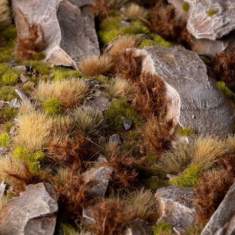 Spikey Brown Wild - Image 2