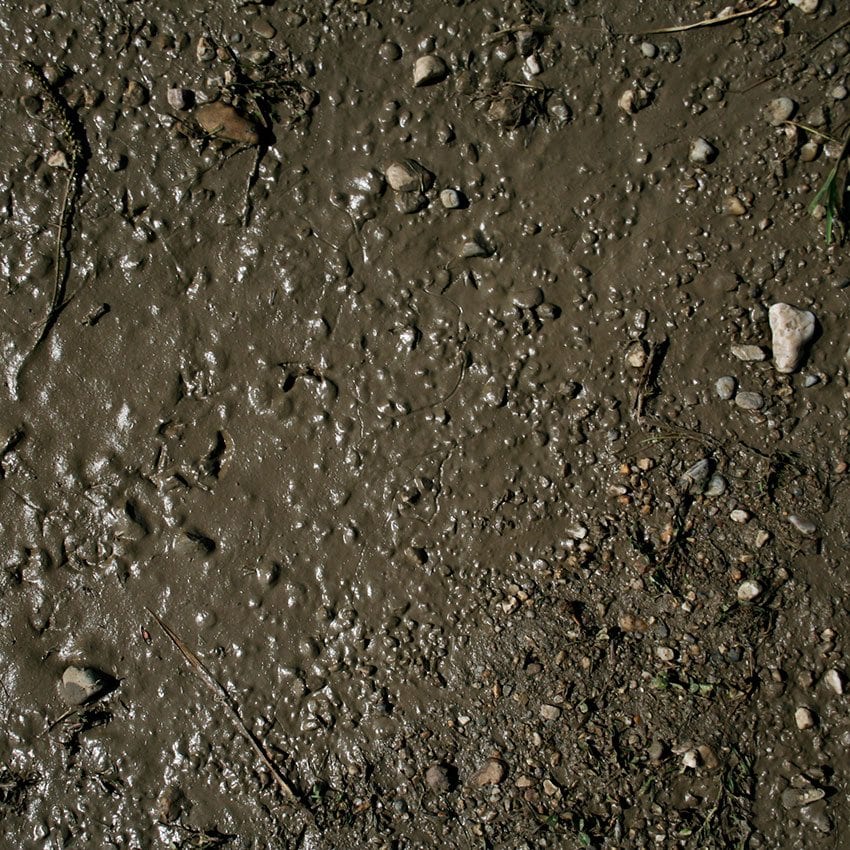 Terrains Wet Ground - 250ml (Acryl) - Image 3