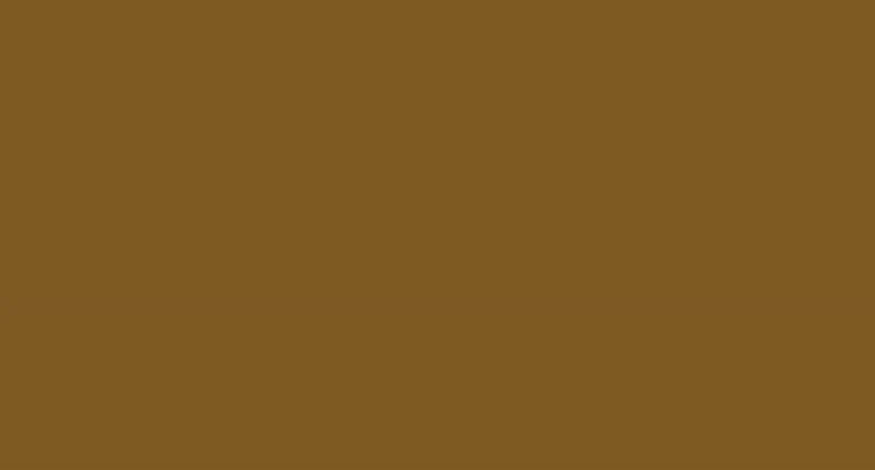 Vallejo Surface Leather Brown 17ml - Image 2