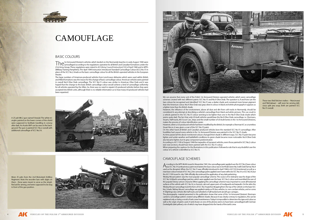 VEHICLES OF THE POLISH 1ST ARMOURED DIVISION - Image 2