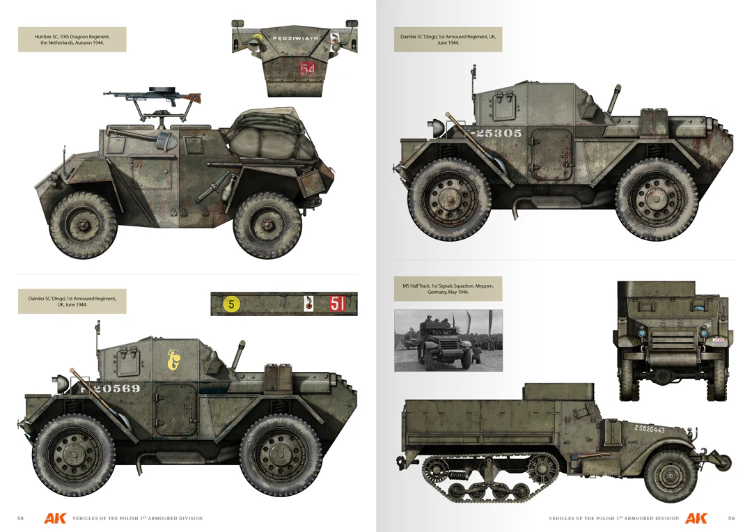 VEHICLES OF THE POLISH 1ST ARMOURED DIVISION - Image 3
