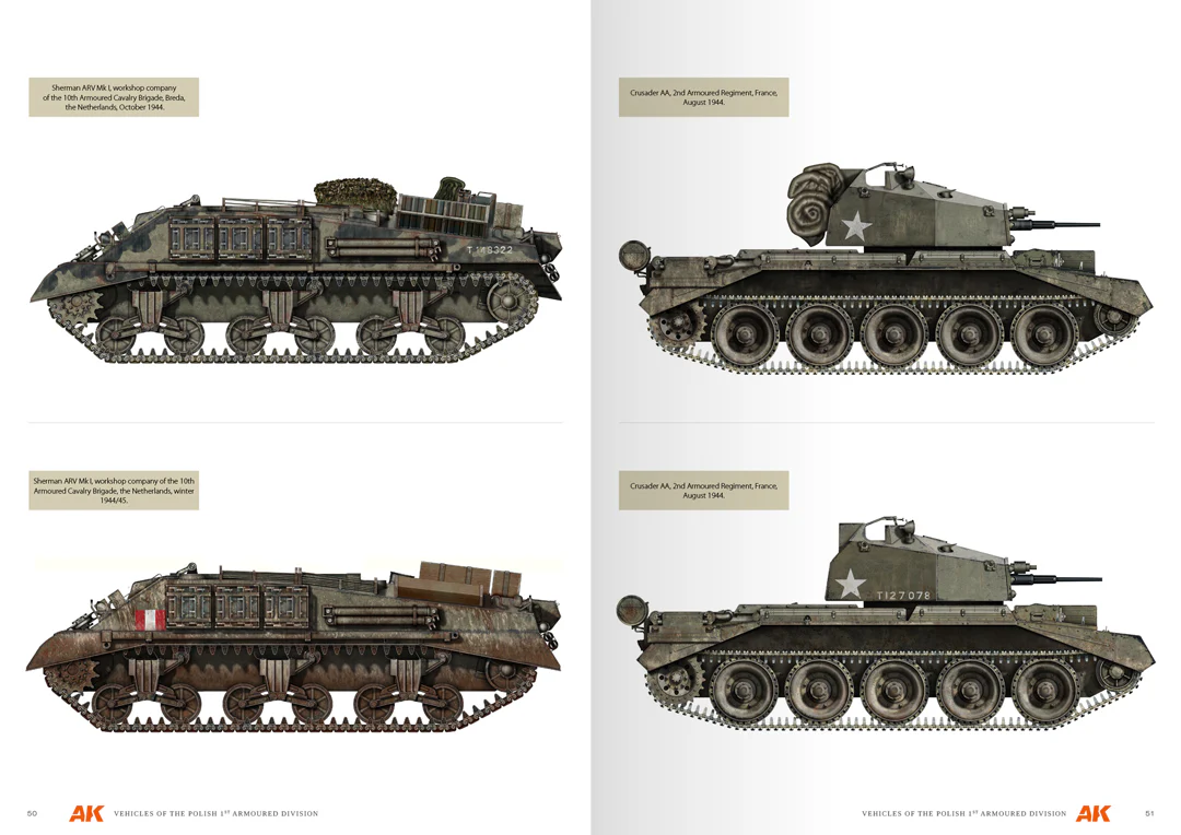 VEHICLES OF THE POLISH 1ST ARMOURED DIVISION - Image 4