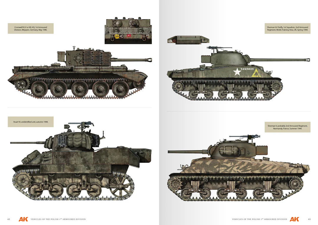 VEHICLES OF THE POLISH 1ST ARMOURED DIVISION - Image 5