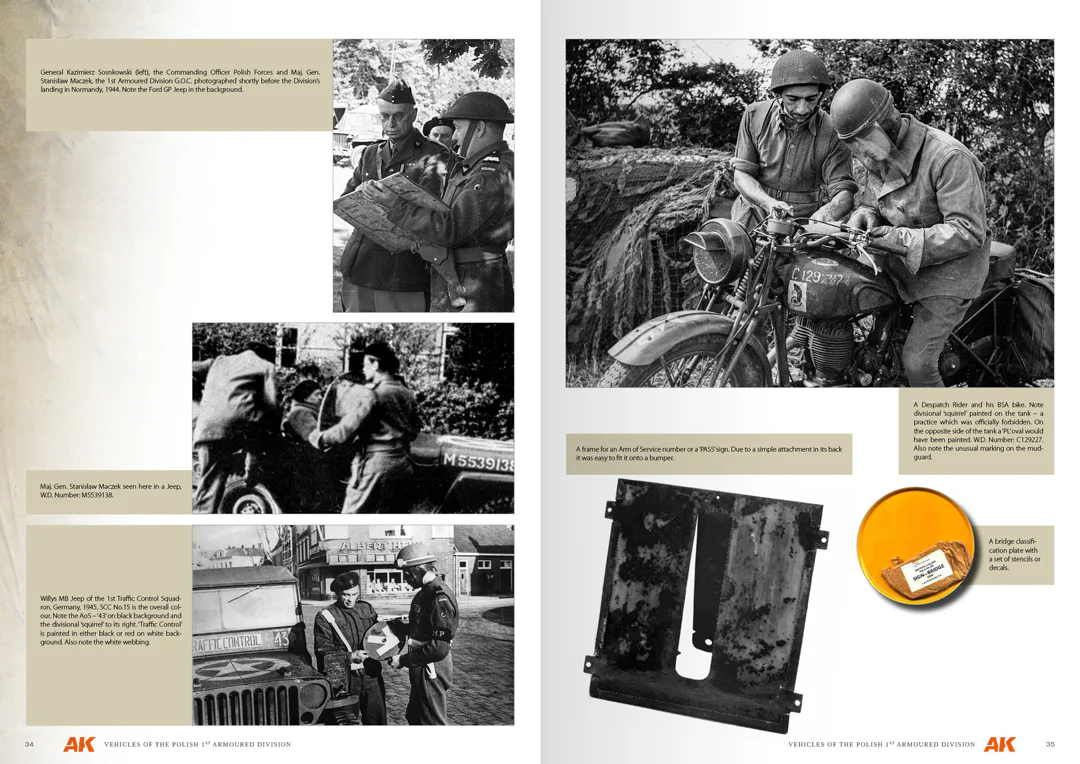VEHICLES OF THE POLISH 1ST ARMOURED DIVISION - Image 7