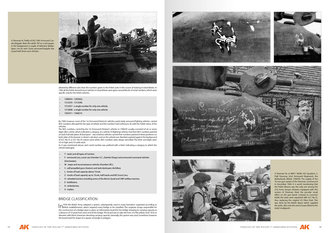 VEHICLES OF THE POLISH 1ST ARMOURED DIVISION - Image 9